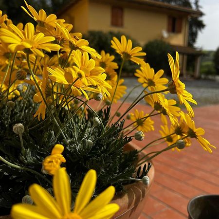Agriturismo La Cerbana Palaia Zewnętrze zdjęcie